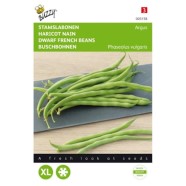 French Bean Dwarf Argus Seeds